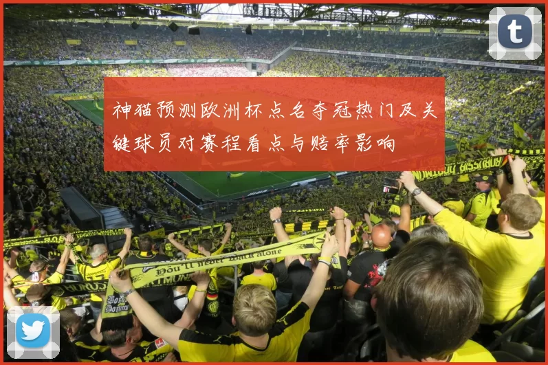 神猫预测欧洲杯点名夺冠热门及关键球员对赛程看点与赔率影响